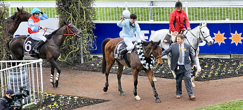 West Coast after winning his third consecutive Grand National at Riccarton